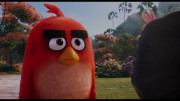 The.Angry.Birds.Movie.2016.BDREMUX.2160p.HDR.seleZen.mkv snapshot 00.11.55.757