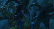 Avatar.The.Way.of.Water.2022.BluRay.720p.DTS.x264 MTeam.mkv snapshot 00.35.43.016