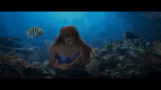 The.Little.Mermaid.2023.1080p.BluRay.REMUX.AVC.DTS HD.MA.7.1 TRiToN.mkv snapshot 00.08.02.273